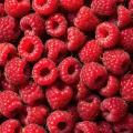 obrazek do "raspberry" po polsku