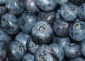 obrazek do "blueberry" po polsku