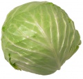 obrazek do "cabbage" po polsku