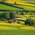 obrazek do "countryside" po polsku