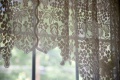 obrazek do "lace curtain" po polsku