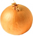 obrazek do "onion" po polsku