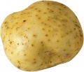 obrazek do "potato" po polsku