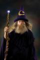 obrazek do "wizard" po polsku