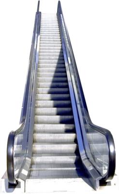 Escalator 1 Noun Schody Ruchome Eskalator Many Children Are Afraid Of Escalators Wiele Dzieci Boi Sie Ruchomych Schodow The Escalator Has Just Broken Down Schody Ruchome Wlasnie Sie Popsuly Img